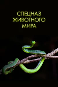  Спецназ животного мира 